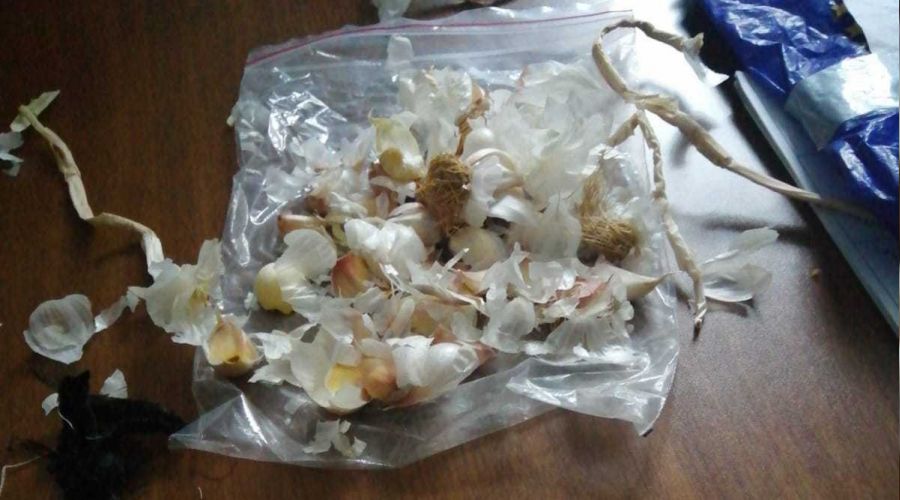 Uyuşturucuyu sarımsağa sardılar