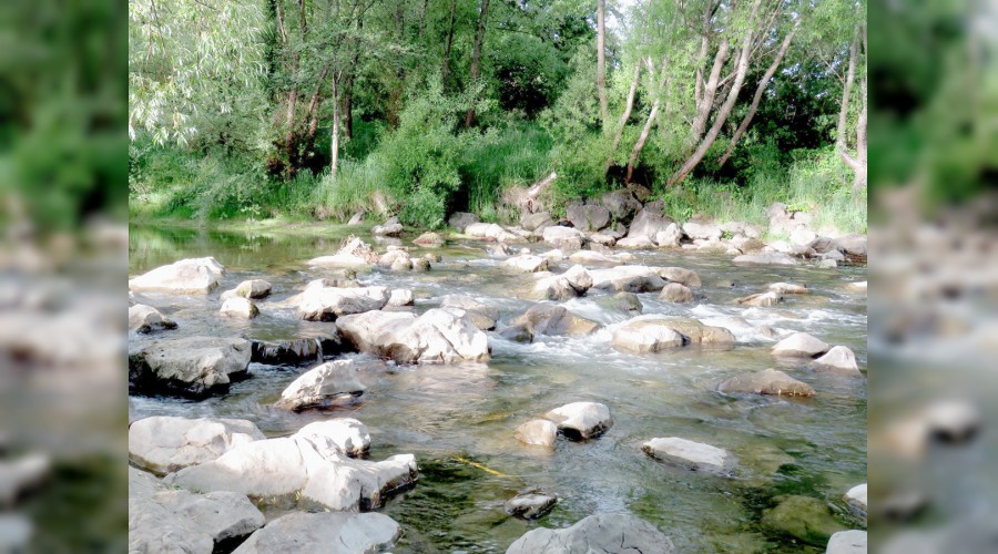 ‘Uzun secdelerle bana yardımcı olun’