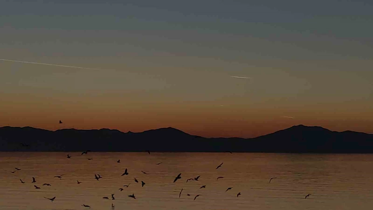 Van Gl zerinde ku srsnn grsel leni