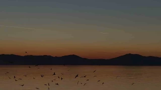 Van Gl zerinde ku srsnn grsel leni