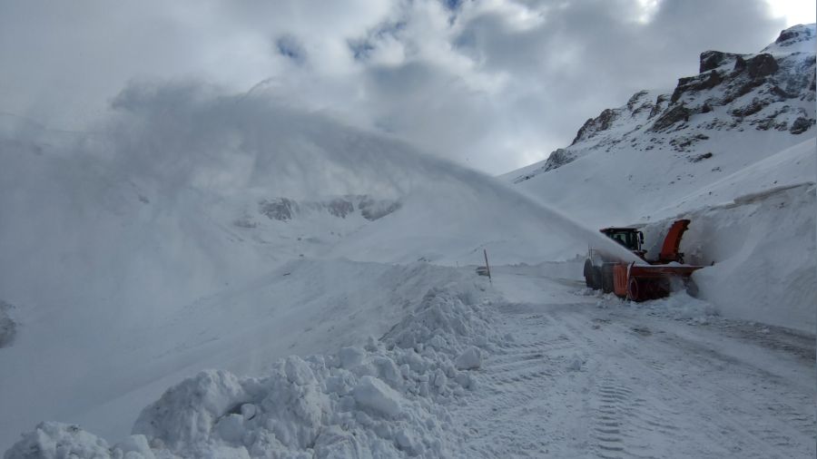 Van�da karla m�cadele s�r�yor