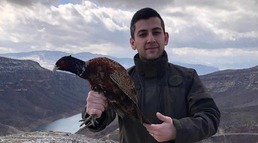 Vatandaşların bulduğu yaralı sülün tedavisinin ardından doğaya salındı