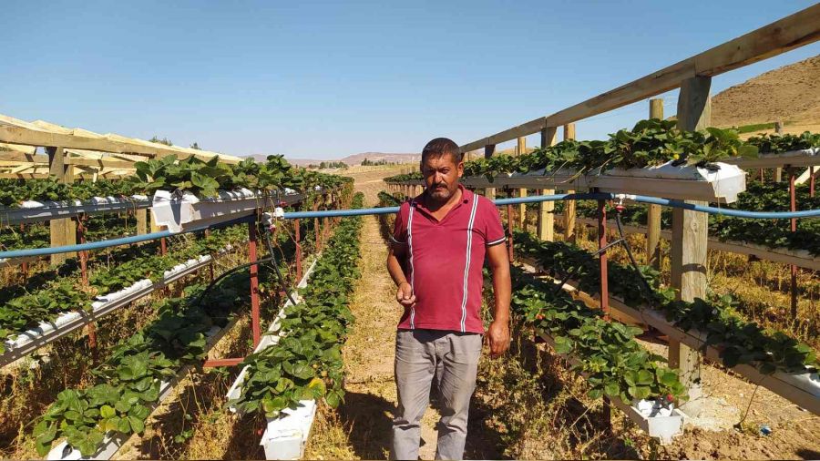 Veteriner hekim toprağı iyileştirdi