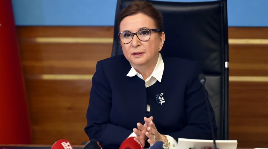 Yabancı plakalı araçlara düzenleme