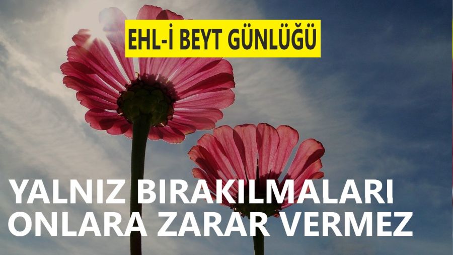 Yalnız bırakılmaları onlara zarar vermez