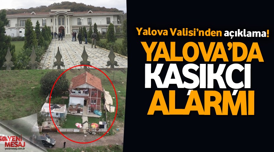 Yalova'da Kaşıkçı alarmı