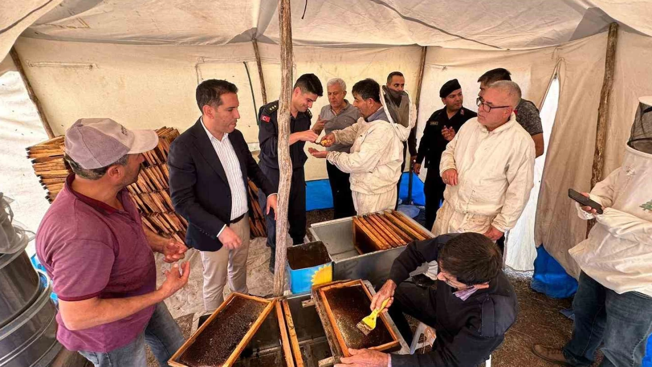 Yang�n ve kurakl���n tehdit etti�i �am bal�nda rekolte y�zleri g�ld�rd�