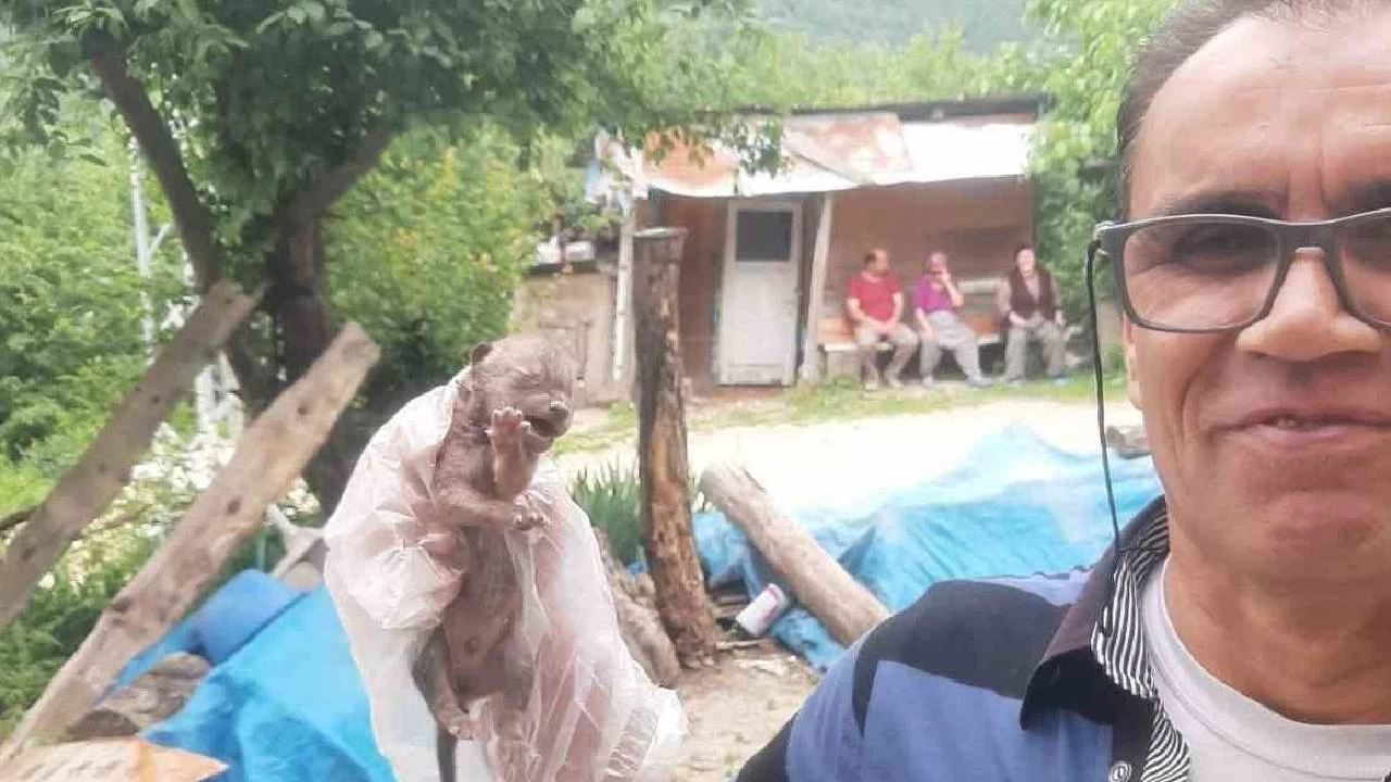 Yavru �akal� k�peklerden kurtard�