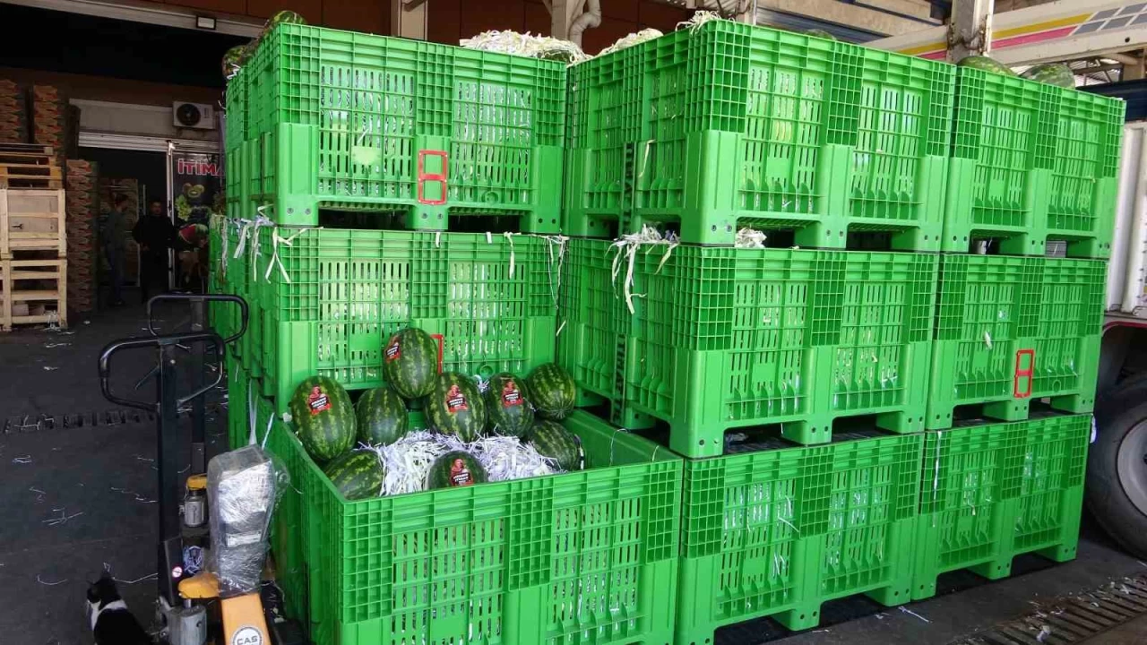 Yedi�iniz karpuzlar �al�nt� olabilir... Halden 700 kilo karpuz �al�nd�