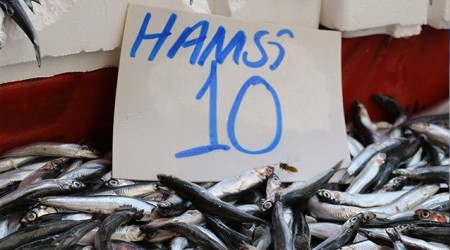 Yerli hamsi 10 TL