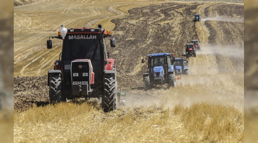 'Yerli Tarmsal retim Alan' ald