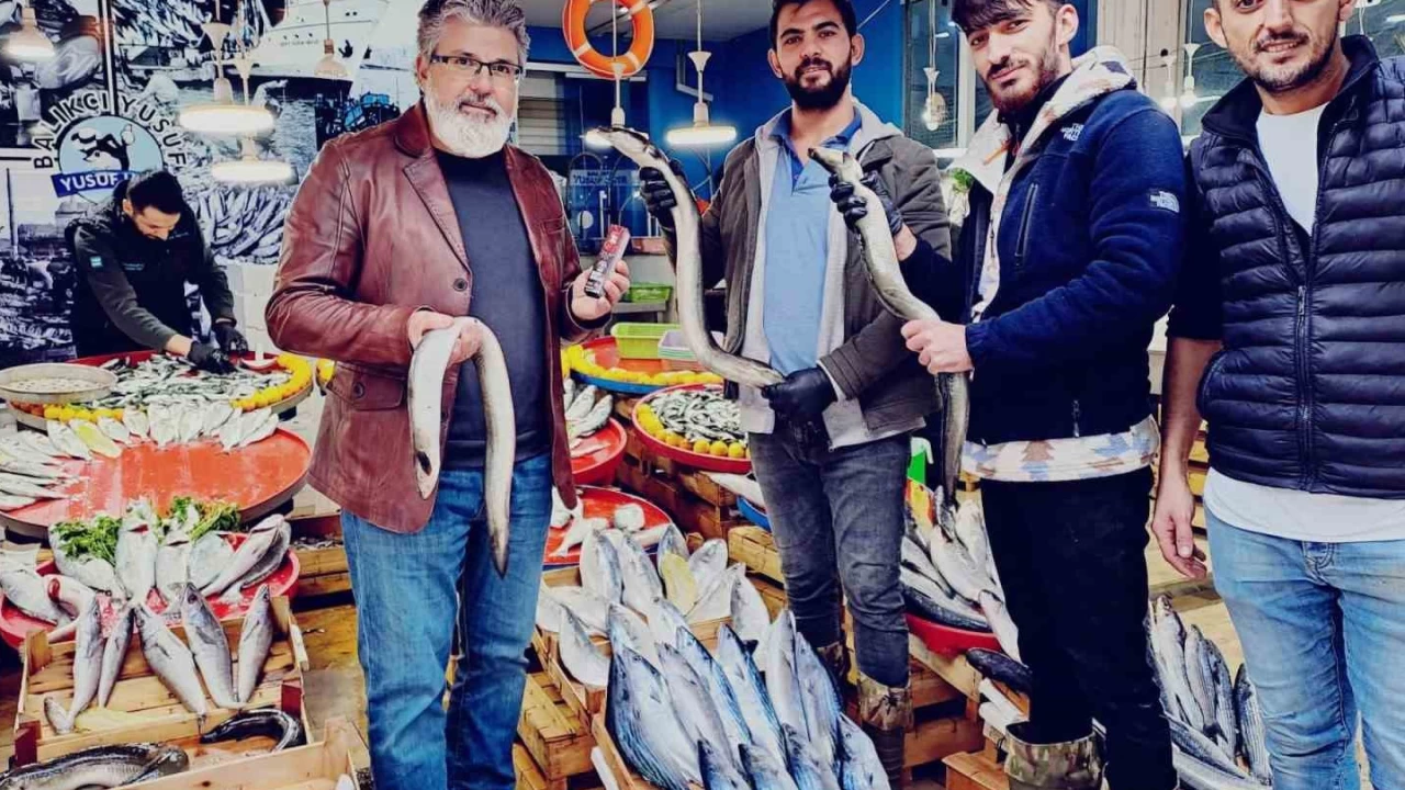 Yılan balıkları göçleri kadar besin değerleri ile de ilgi çekmeye başladı