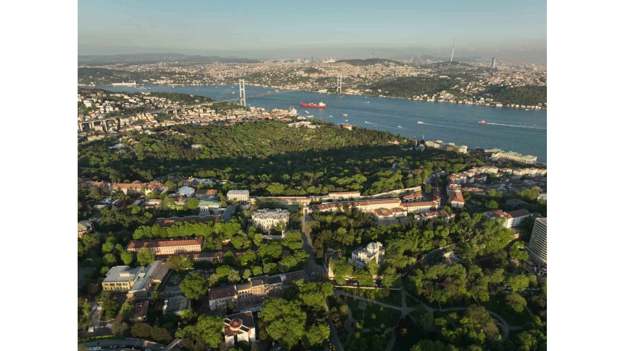 Yıldız Sarayı'nın Hasbahçesi yeniden keşfediliyor