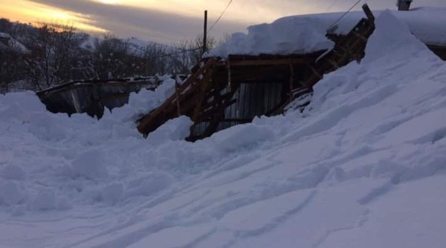 Yoğun kardan ahır çöktü, 7 hayvan telef oldu
