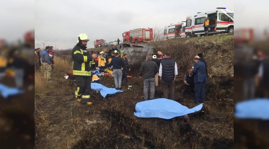 Yola ��kan k�pek kazaya neden oldu: 2 �l�