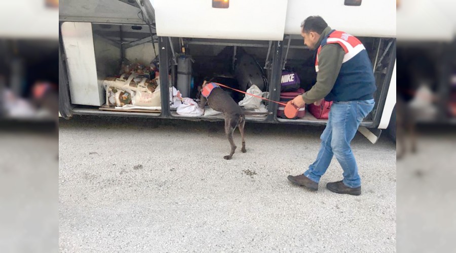 Yolcunun üzerinden uyuşturucu çıktı