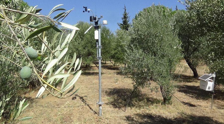 Y�ksek teknoloji ile zeytinlikler daha az ila�la korunacak