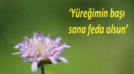 ‘Yüreğimin başı sana feda olsun’