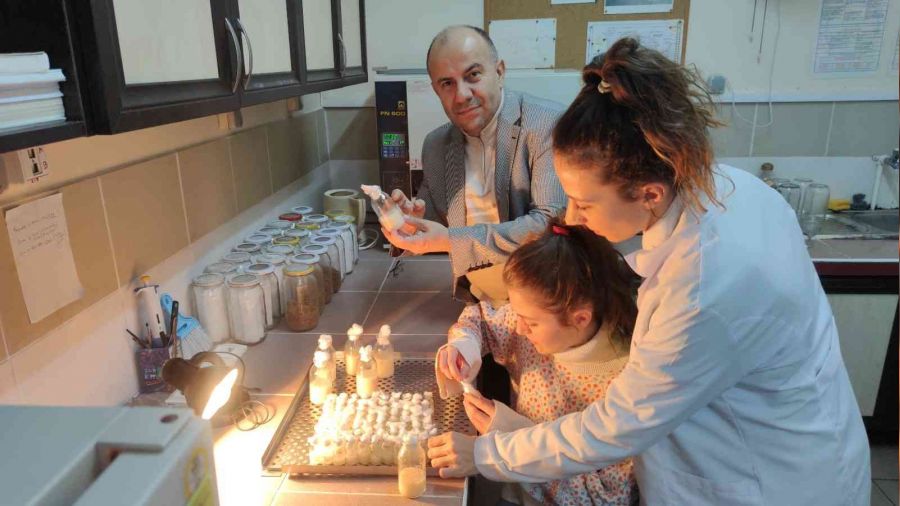 ZBE�'de D vitamini ile ilgili laboratuvar �al��mas� literat�re yeni bilgiler katacak