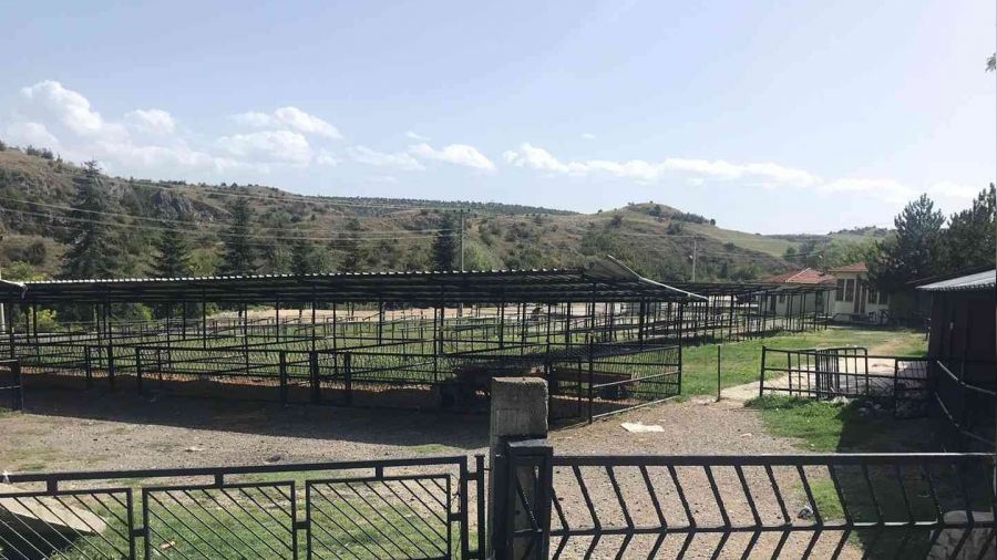 16 köyde şap ve şarbon hastalığı karantinası