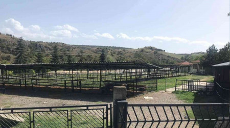16 köyde şap ve şarbon hastalığı karantinası