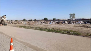 19 yandaki gen defalarca bakland