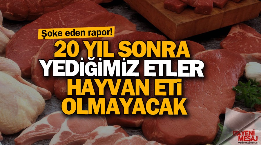 20 yıl sonra yediğimiz etler hayvan eti olmayacak