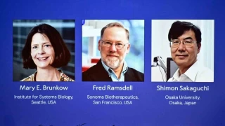 2025 Nobel Tp dl, Brunkow, Ramsdell ve Sakaguchi'nin oldu