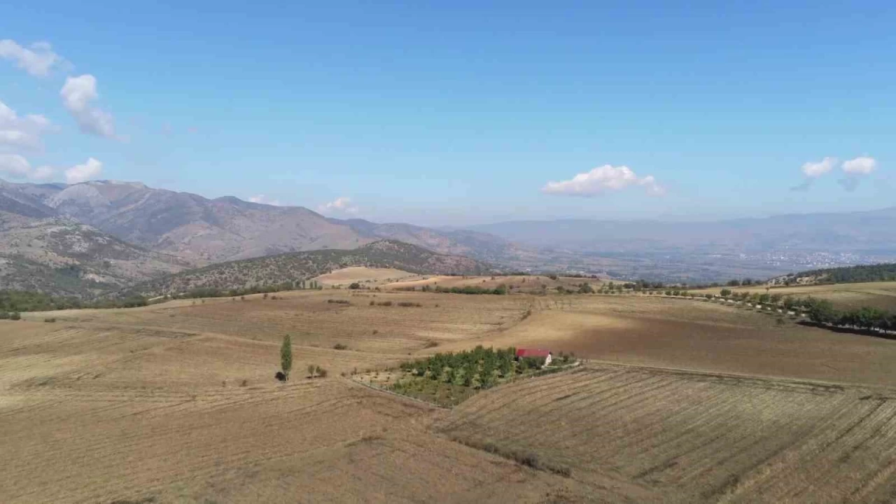 300 bin kiilik Hal ordusunun bozguna urad yer