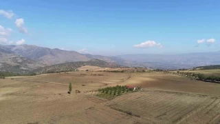 300 bin kiilik Hal ordusunun bozguna urad yer