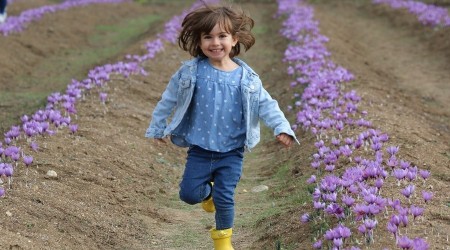 4.Safran Festivali gerçekleşti