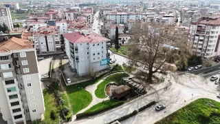6 asırlık ağaç ve değirmen Çarşamba'nın merkezini süslüyor