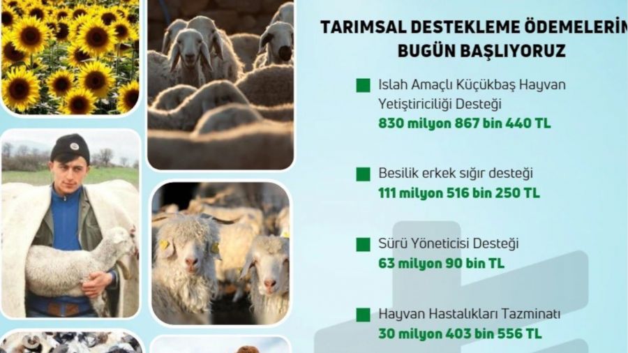 7 farkl kalemde 1 milyar liray akn destek demeleri balad