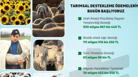 7 farkl kalemde 1 milyar liray akn destek demeleri balad