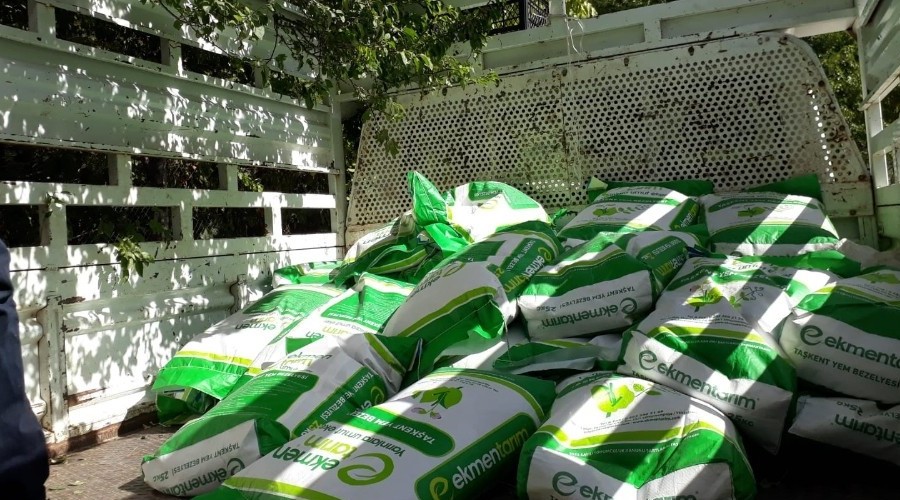 8 ton hibe yem bitkisi dağıtımı