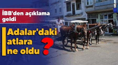 Adalar'daki atlara ne oldu, BB'den aklama geldi