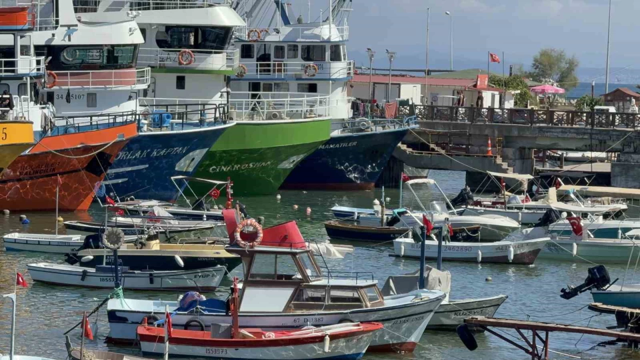 Ak�akocal� bal�k��lar umdu�unu hen�z bulamad�