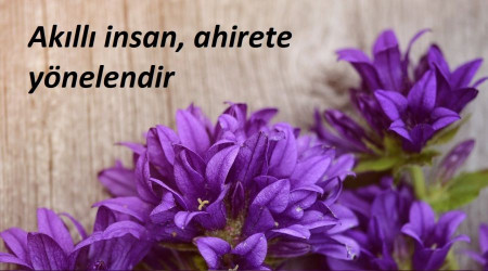 Akıllı insan, ahirete yönelendir