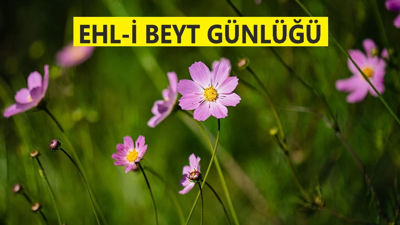 Ali neredeyse, hak oradad�r