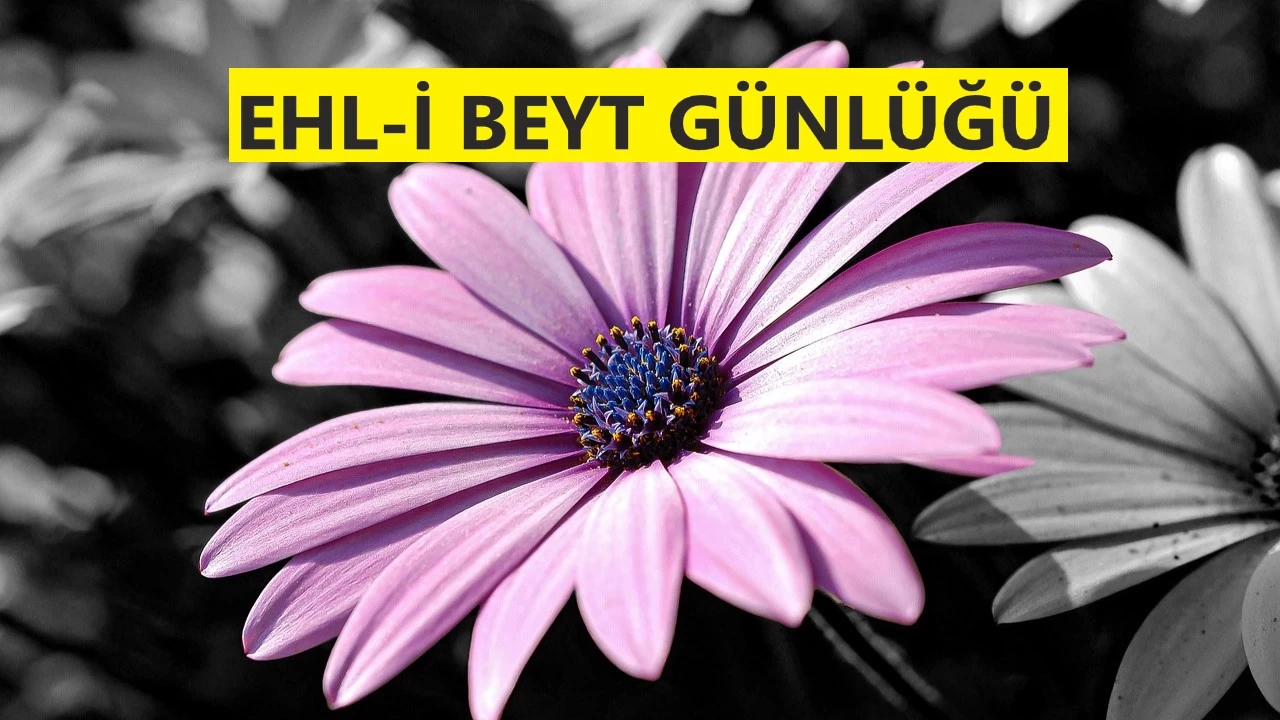 ‘Ali’yi müminden başkası sevmez’