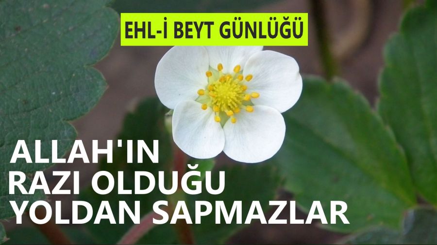 ‘Allah’ın razı olduğu yoldan sapmazlar’