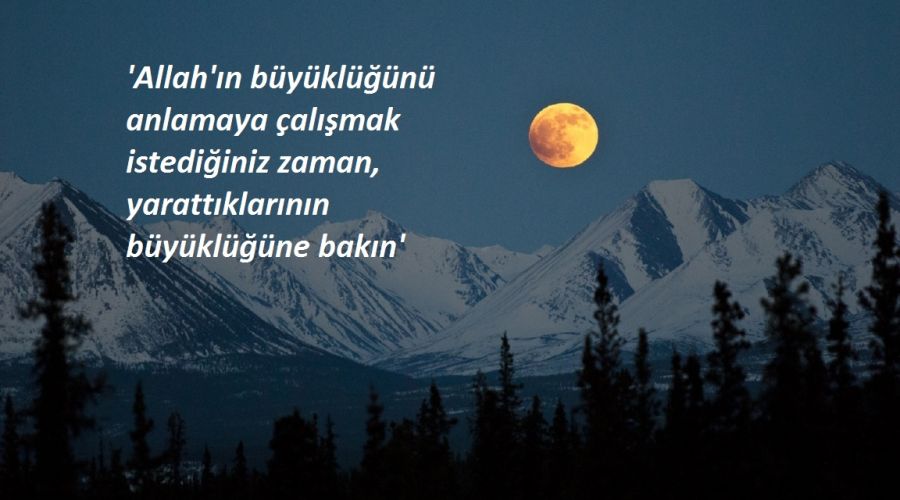 ‘Allah'ın yarattıklarının büyüklüğüne bakın'