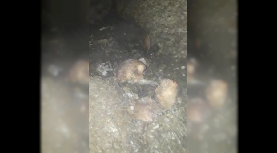 Altyap� kaz�s�nda �ocuk kafatas� bulundu   