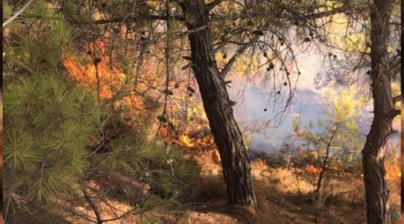 Anamur'da kan orman yangn kontrol altna alnd