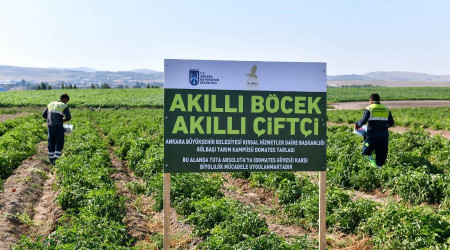 Ankara Büyükşehir Belediyesi, tarımda biyolojik mücadele dönemini başlattı