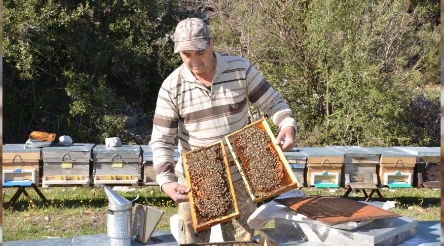 Antalya'da ar�c�lar yeni sezona haz�rlan�yor