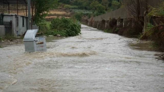 Antalya'da saanak seralar da vurdu