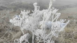 Ardahan'da Sibirya soğukları etkili oluyor
