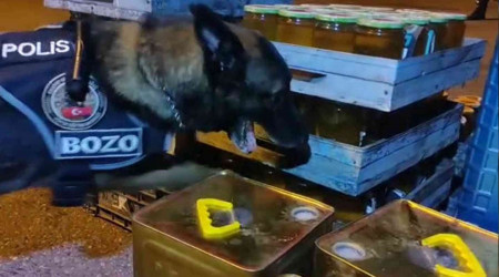 Arı kovanı içerisinden 2 kilo 500 gram metamfetamin çıktı