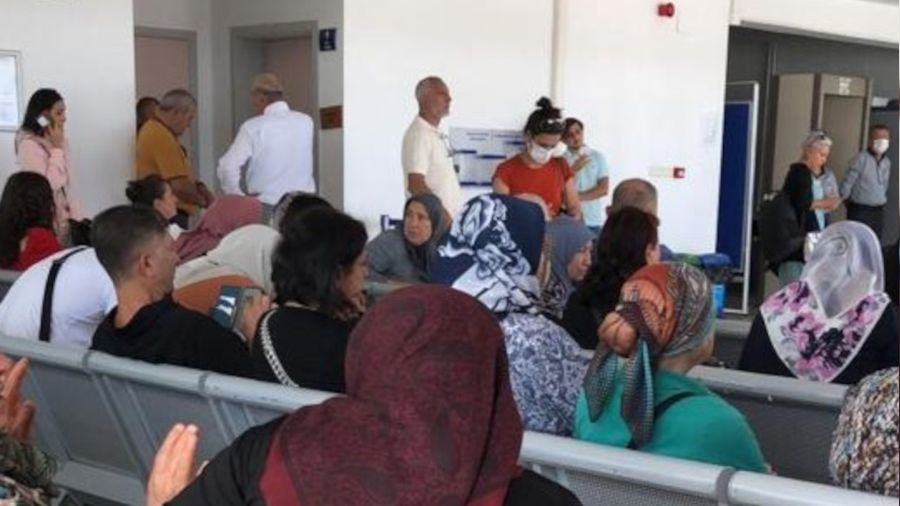 Arı uçağa 1 saat rötar yaptırdı